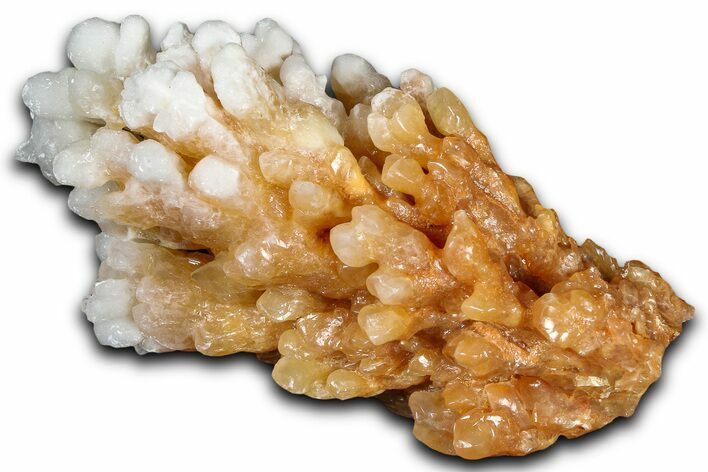 Sparkling Calcite/Aragonite Stalactite Formation - China #364535